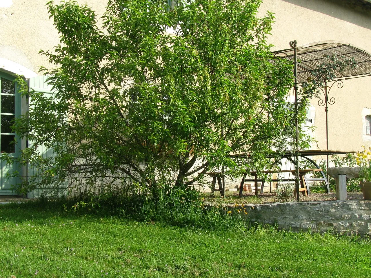 LE DOMAINE D EN BAS AUGY SUR AUBOIS 18600