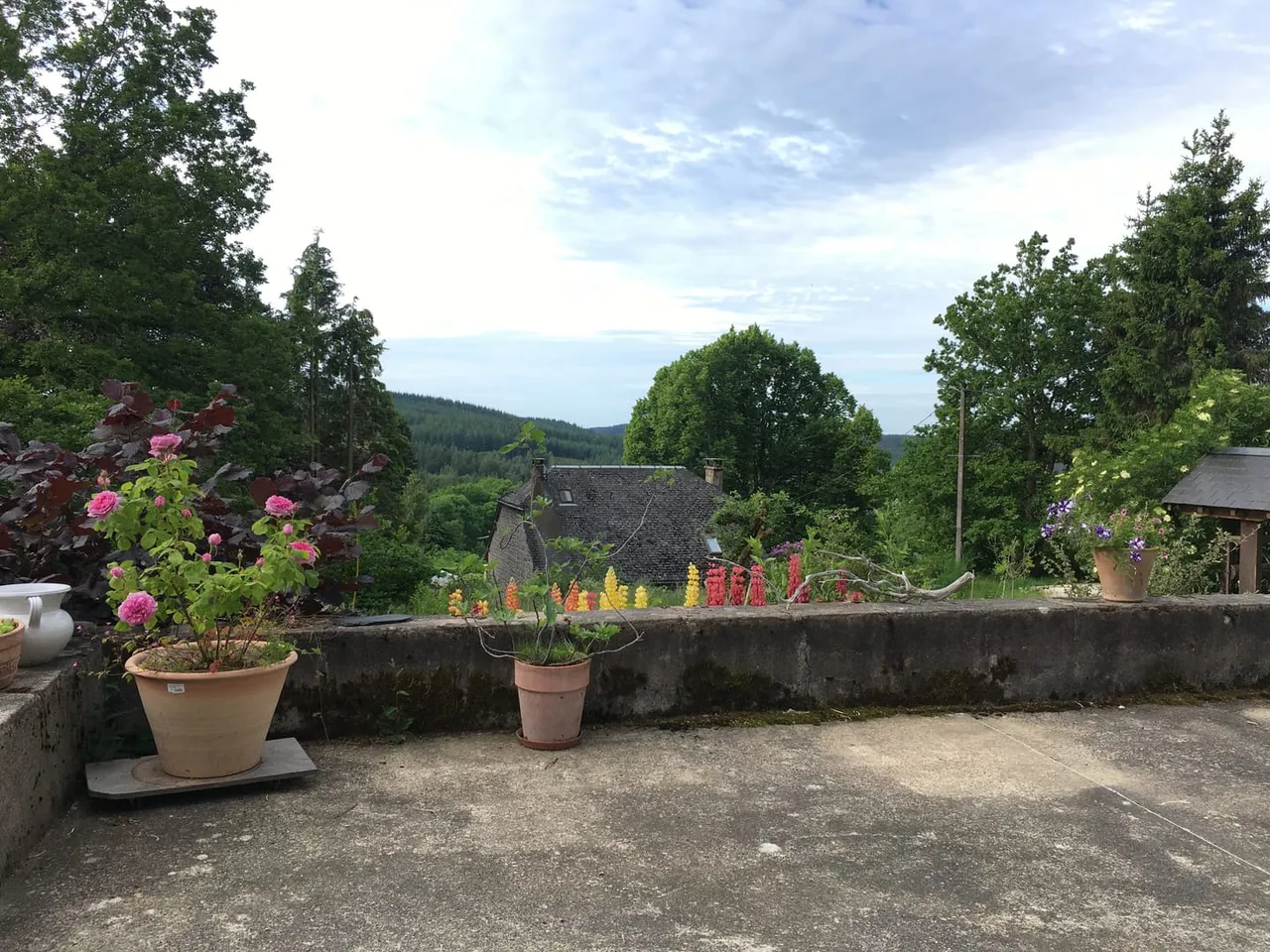 Les Hautes Herbes