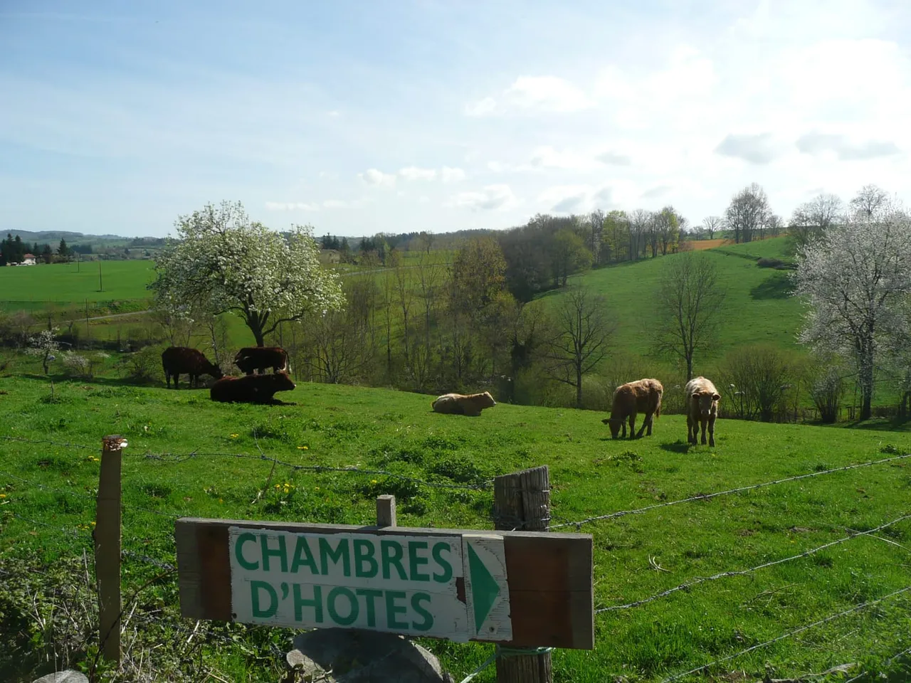 Les Uns les z'Hôtes