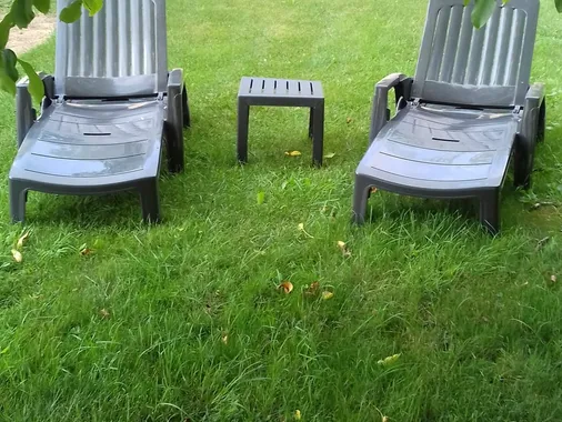 PARADIS DES OISEAUX
